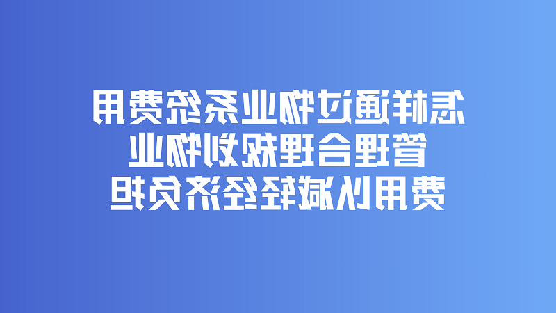 怎样通过物业系统费用管理合理规划物业费用以减轻经济负担？